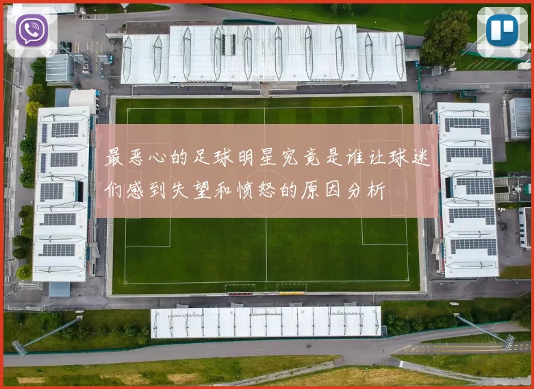 最恶心的足球明星究竟是谁让球迷们感到失望和愤怒的原因分析