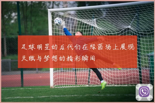 足球明星的后代们在绿茵场上展现天赋与梦想的精彩瞬间