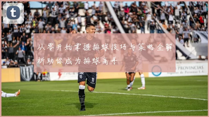 从零开始掌握排球技巧与策略全解析助你成为排球高手