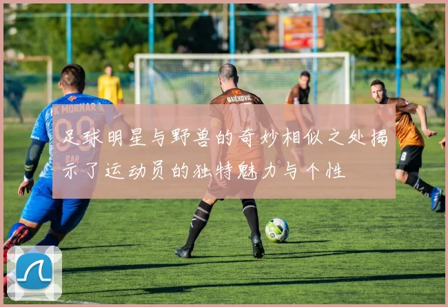 足球明星与野兽的奇妙相似之处揭示了运动员的独特魅力与个性