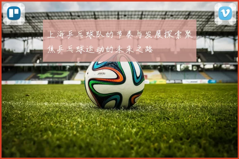 上海乒乓球队的节奏与发展探索聚焦乒乓球运动的未来之路
