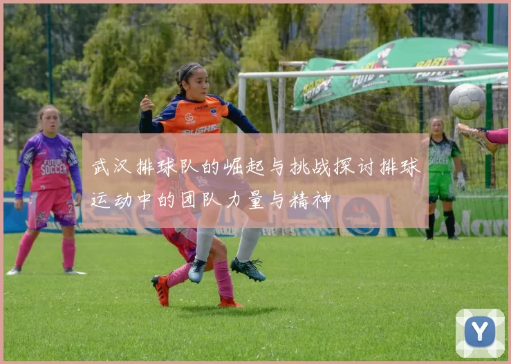 武汉排球队的崛起与挑战探讨排球运动中的团队力量与精神