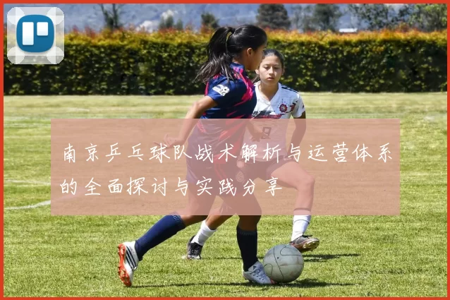 南京乒乓球队战术解析与运营体系的全面探讨与实践分享