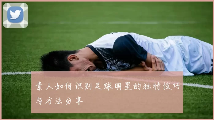 素人如何识别足球明星的独特技巧与方法分享