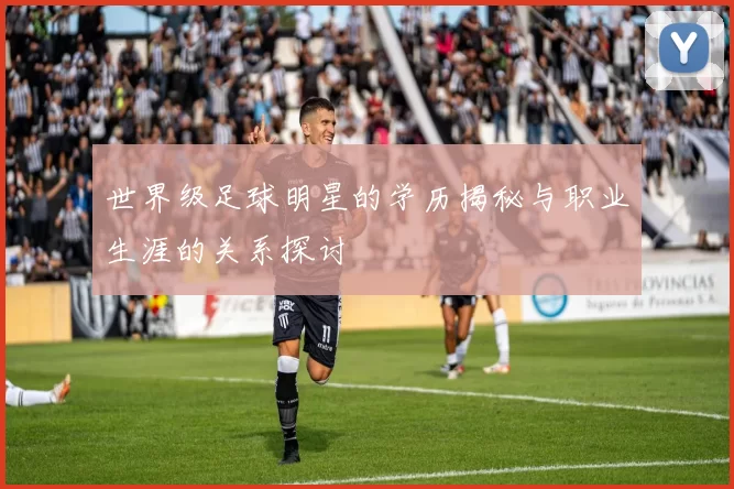 世界级足球明星的学历揭秘与职业生涯的关系探讨