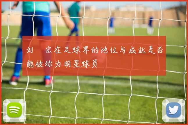 刘畊宏在足球界的地位与成就是否能被称为明星球员