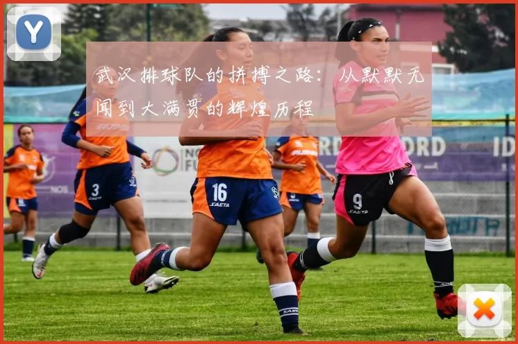 武汉排球队的拼搏之路：从默默无闻到大满贯的辉煌历程