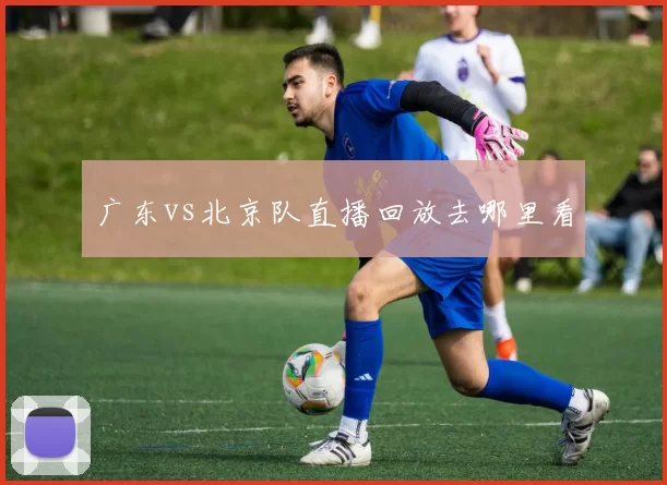 广东vs北京队直播回放去哪里看
