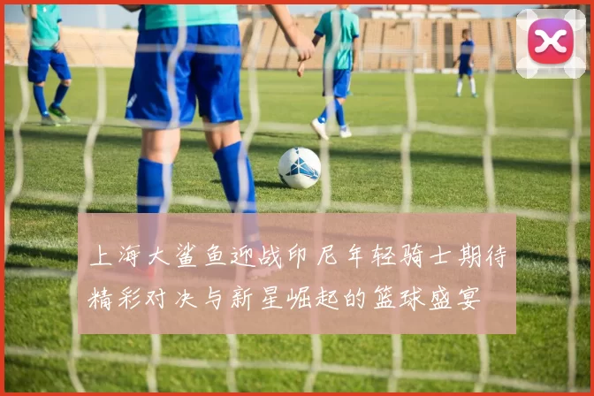 上海大鲨鱼迎战印尼年轻骑士期待精彩对决与新星崛起的篮球盛宴