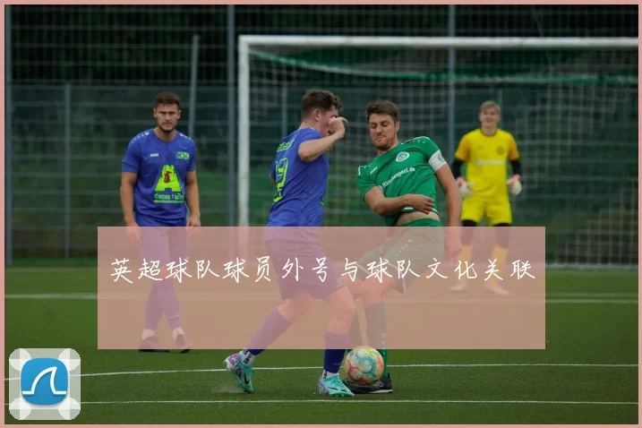 英超球队球员外号与球队文化关联