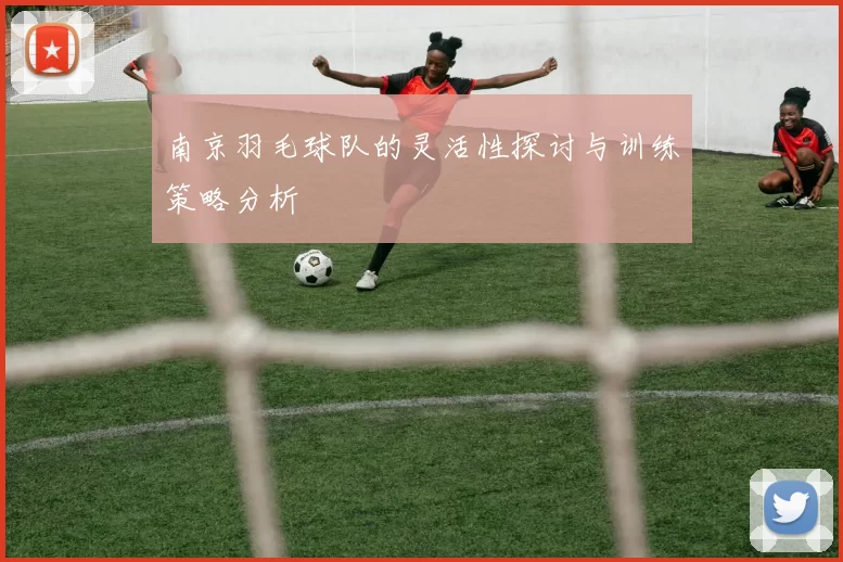 南京羽毛球队的灵活性探讨与训练策略分析