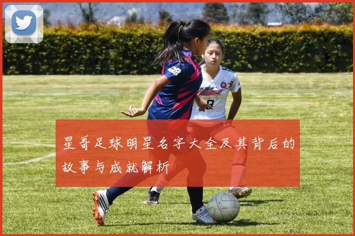星哥足球明星名字大全及其背后的故事与成就解析