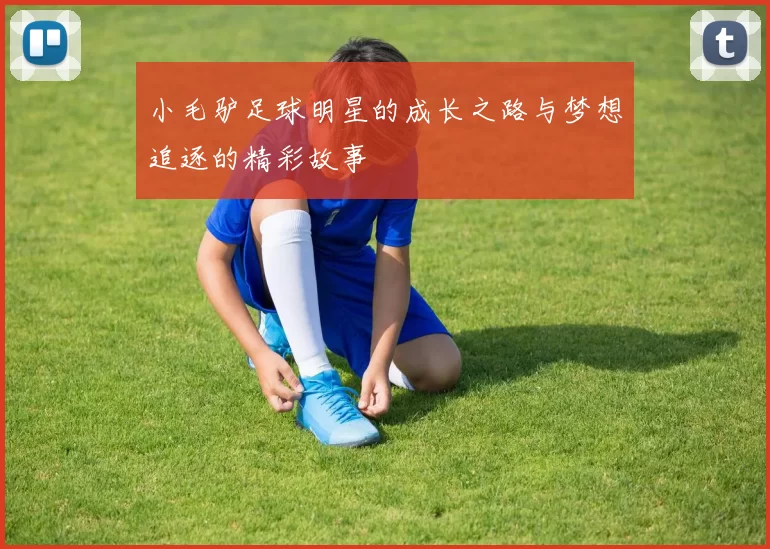 小毛驴足球明星的成长之路与梦想追逐的精彩故事