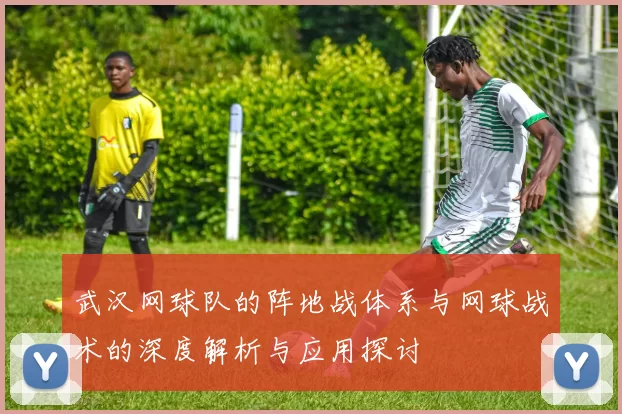 武汉网球队的阵地战体系与网球战术的深度解析与应用探讨