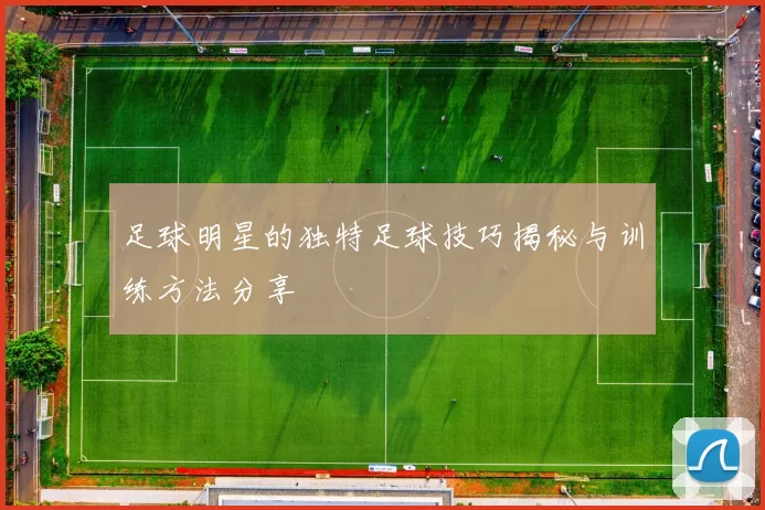 足球明星的独特足球技巧揭秘与训练方法分享