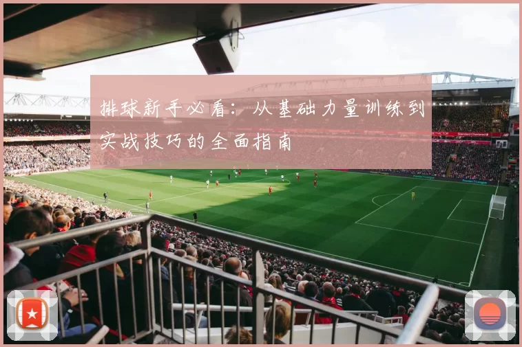排球新手必看：从基础力量训练到实战技巧的全面指南