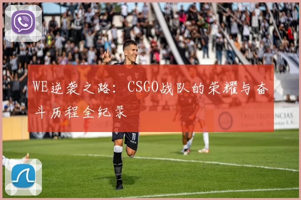 WE逆袭之路：CSGO战队的荣耀与奋斗历程全纪录