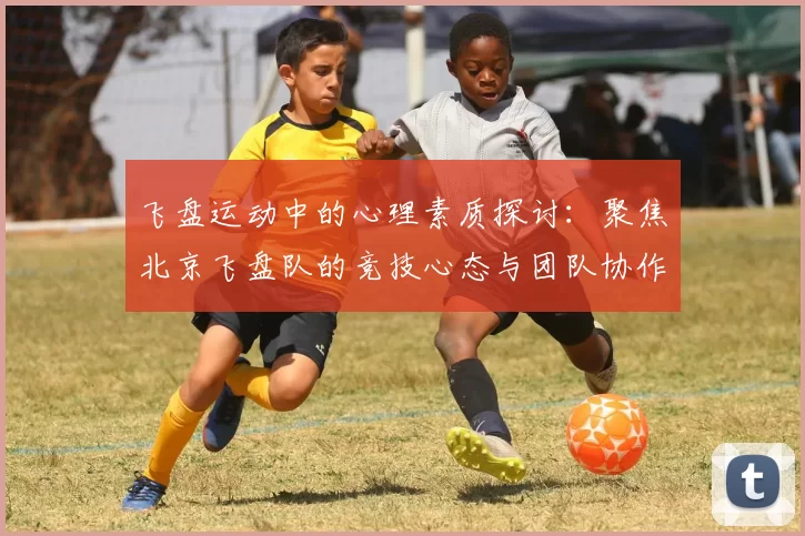 飞盘运动中的心理素质探讨：聚焦北京飞盘队的竞技心态与团队协作