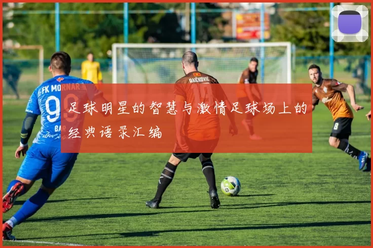 足球明星的智慧与激情足球场上的经典语录汇编