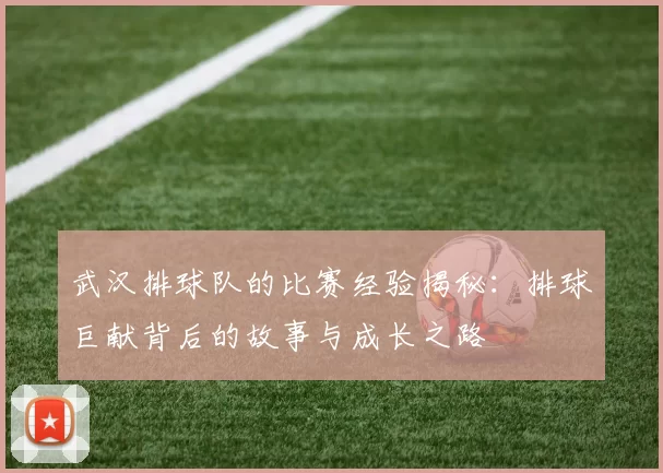 武汉排球队的比赛经验揭秘：排球巨献背后的故事与成长之路