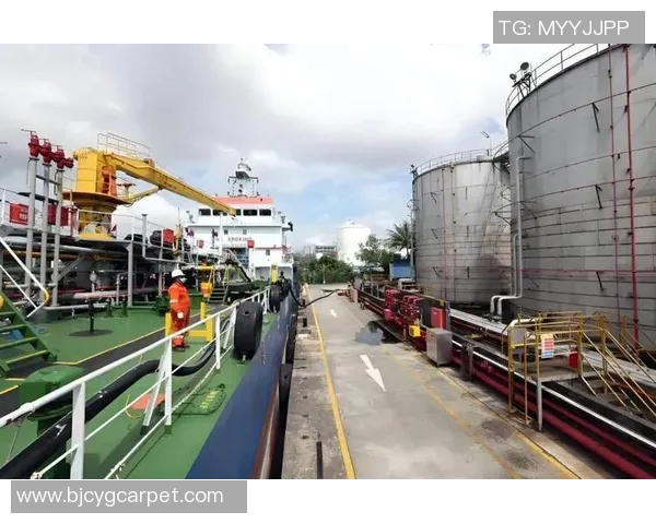 新加坡政府启动绿色能源项目，力推环保发展