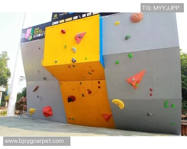 广州攀岩队意识表现的数据分析与提升策略探讨