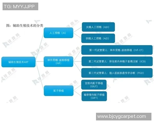 游泳运动的发展历程与现代技术创新对竞技水平的提升作用分析
